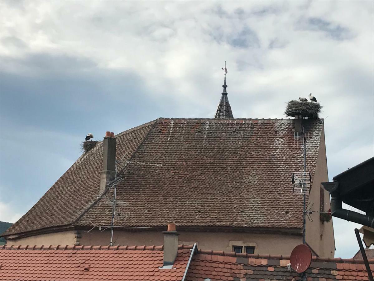 Gite "Smart'In" - Parking Offert Eguisheim Exterior photo